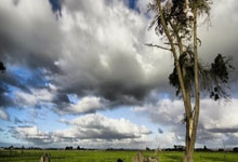 雷恩大胜塞维利亚，压倒性胜利