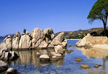 加拿大队惊险战平墨西哥,欧洲杯预选赛意外纷呈